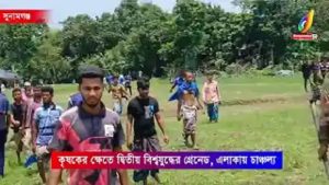 সুনামগঞ্জে মরিচ ক্ষেতে মিলল সক্রিয় গ্রেনেড, নিষ্ক্রিয় করল সেনাবাহিনী